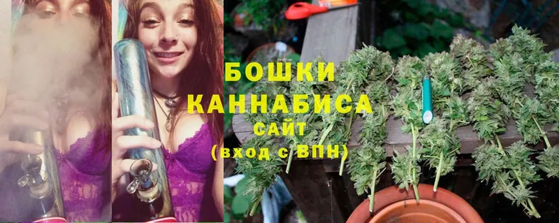 купить наркотик  Белорецк  Канабис SATIVA & INDICA 